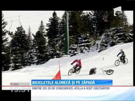 Întrecere pe zăpadă cu bicicletele