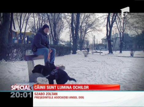 SPECIAL! Câinii care pot schimba viaţa nevăzătorilor