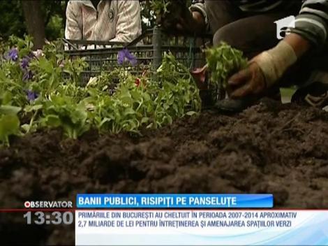 Banii publici, risipiţi pe panseluţe şi palmieri