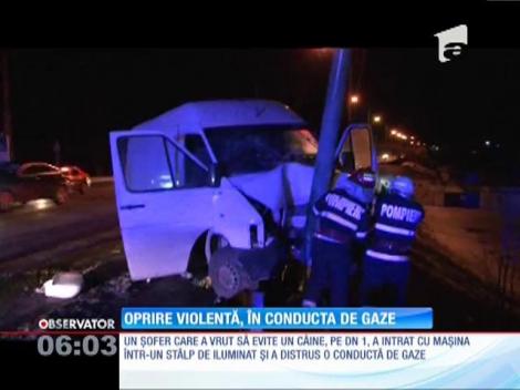 A vrut să evite un câine şi a distrus un stâlp de iluminat şi o conductă de gaze
