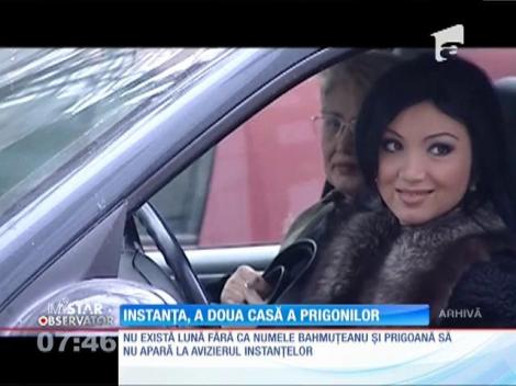 IMA Star Observator 28/01/2016