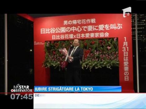 IMA Star Observator 29/01/2016