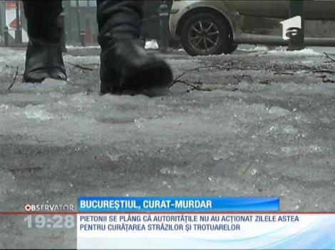 Bucureştiul arată deplorabil după gerul şi ninsorile din săptămânile trecute