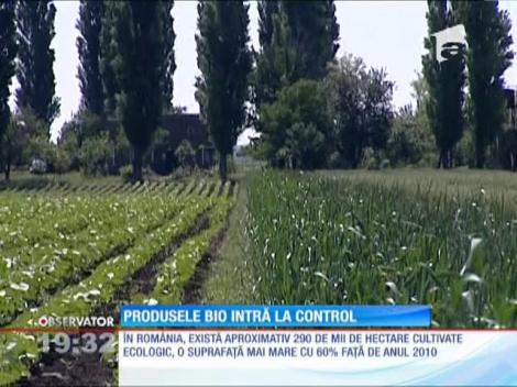 Europenii s-au plâns că românii le oferă produse bio doar pe etichetă şi la preţ. Aşa că ministerul Agriculturii va scormoni până în pământul fermierilor ca să vadă dacă producţia este ecologică