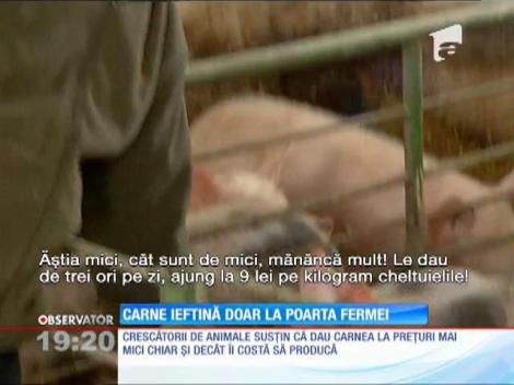 Ieftiniri record la carnea de porc, dar numai la poarta fermei