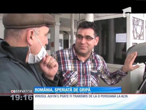 Gripa porcină a început să se răspândească pe tot teritoriul României