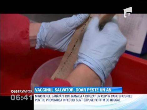 Zika a făcut peste 11.000 de victime în Africa! Un vaccin împotriva virusului ar putea fi disponibil peste un an