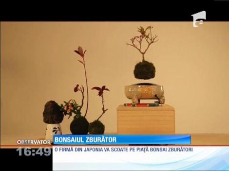 VIDEO: Nu e pasăre, nu e avion, e GHIVECI ZBURĂTOR! Cum a fost posibilă ”minunea”!