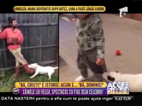 Câinele lui Alex Velea, spectacol cu fiul artistului