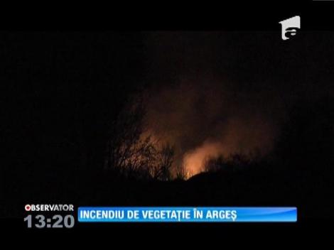 Un incendiu puternic a ars 10 hectare de vegetaţie în Argeş