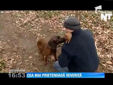 Cea mai prietenoasă veveriță sălbatică