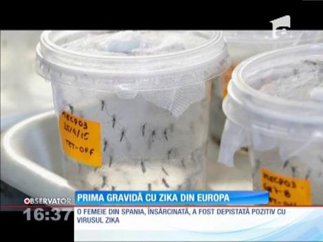 Primul caz de Zika la o femeie însărcinată din Europa, depistat în Spania