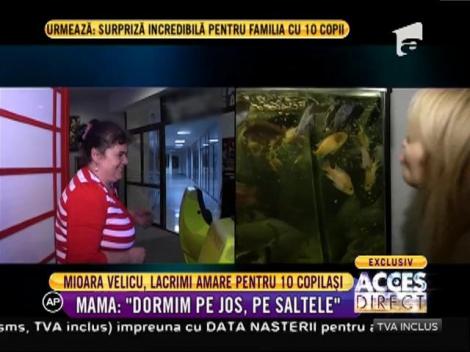 Imagini cutremurătoare. Mioara Velicu, lacrimi amare pentru 10 copilași