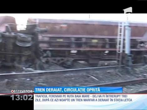 Un tren marfar a deraiat pe ruta Baia Mare - Dej. Traficul va fi întrerupt trei zile
