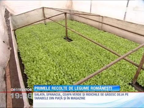 Primele recolte de legume românești se găsesc deja pe tarabele din piață
