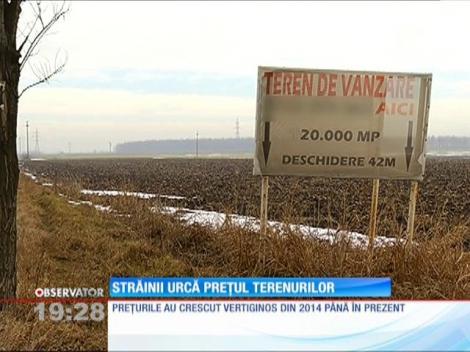 Străinii urcă prețul terenurilor agricole