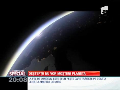 Special! Dacă civilizaţia umană ar înceta să mai existe, furnicille vor domina Pământul