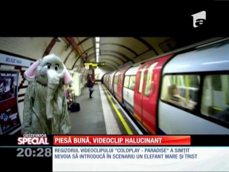Special! Meldoii bune, videoclipuri halucinante