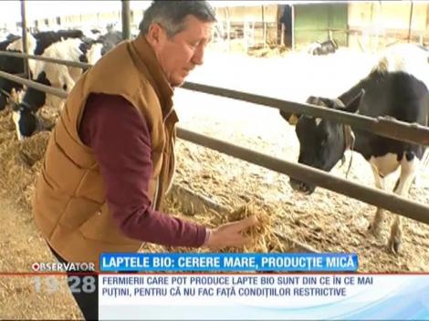 Laptele bio, greu de produs în România