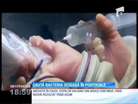 Bacteria care i-a îmbolnăvit pe copiii bolnavi din Argeş ar proveni din portocale
