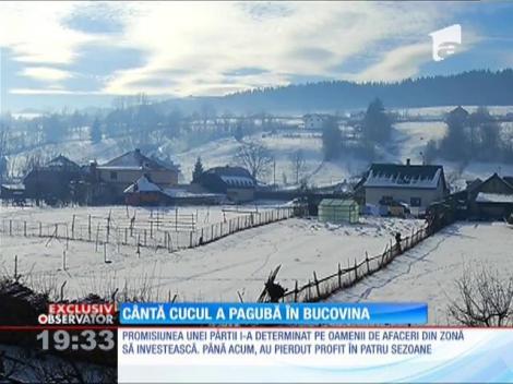 Pagubă în Bucovina! În Bucovina, una dintre cele mai frumoase zone din România statul a investit bani degeaba
