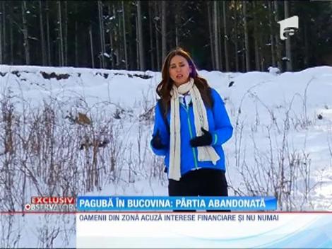 Pagubă în Bucovina! Pârtia Rarău de la Câmpulung Moldovenesc există doar pe hârtie