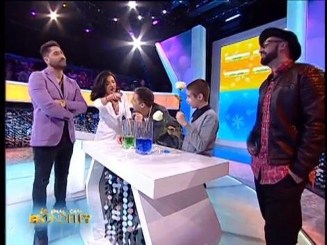 Cum se colorează petalele unui trandafir