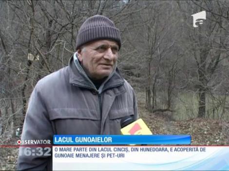 Lacul Cinciş, invadat de gunoaie