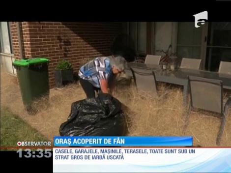 Un oraş din Australia este acoperit de fân