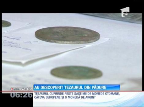 Doi tineri au descoperit, într-o pădure, un tezaur cu peste 6000 de monede