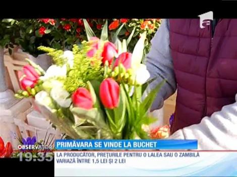 Producătorii de flori se aşteaptă la vânzări record de Dragobete și Mărţişor