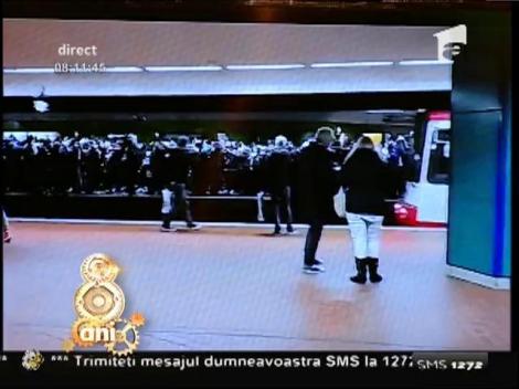 Smiley News: Un papagal face o criză de nervi