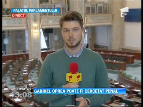Fostul ministru de Interne Gabriel Oprea poate fi cercetat penal