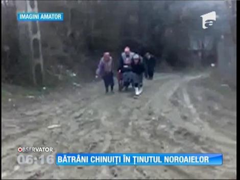 Imagini revoltătoare pe o stradă din Dej