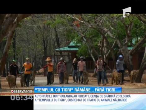 Celebrul "Templu cu tigri" din Thailanda ar putea rămâne fără animale