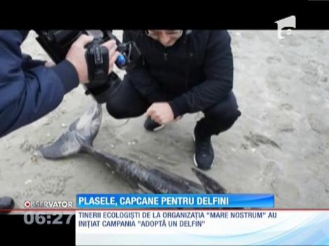 Plasele pescarilor ucid din nou delfinii, în largul Mării Negre