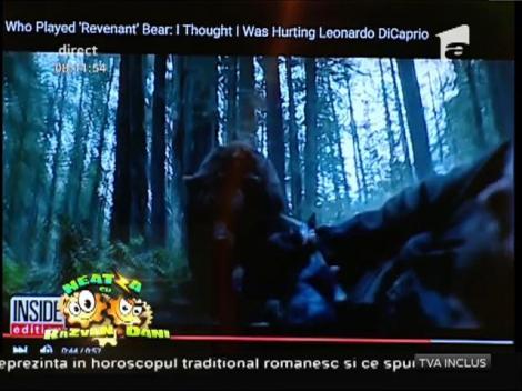 Premiile Oscar 2016. Pe Leo îl știe toată lumea, de azi, e băiat de Oscar, dar ursul, cine-i ursul?! El este omul care i-a adus premiul lui DiCaprio