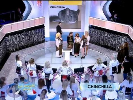 Provocare pentru Laura Lavrig! Trebuie să recunoască animalele din care sunt făcute blănurile aduse în platou