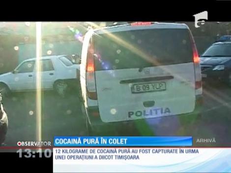 12 kilograme de cocaină pură au fost capturate în Timișoara