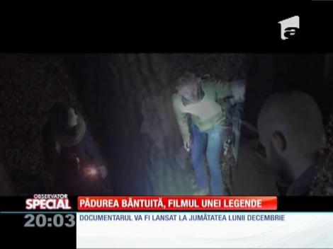 SPECIAL! Pădurea Hoia Baciu, unul dintre cele mai bântuite din lume