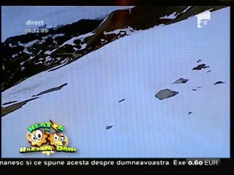 Smiley News! Râzi cu lacrimi: Ce faci dacă după colțul casei dai nas în nas cu un uriaș "moș Martin"?