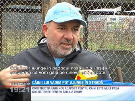 Câinii lui Corneliu Vadim Tudor riscă să ajungă pe mâna hingherilor