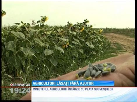 Fermierii nu &icirc;și fertilizează terenurile pentru că nu au bani