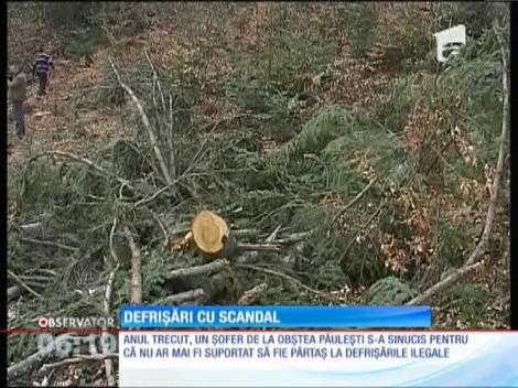 Defrisări cu scandal în comuna vrânceană Păulești