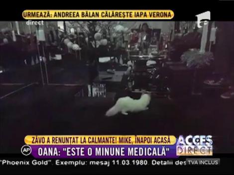 Oana Zăvoranu este în culmea fericirii. Motanul ei, care era bolnav, s-a recuperat spectaculos