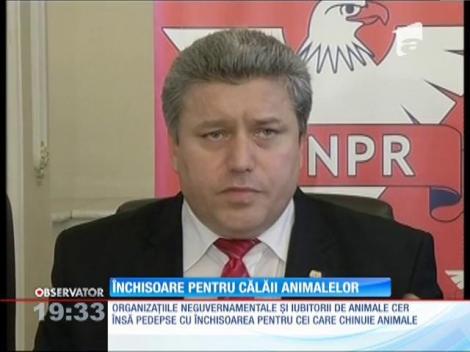 Cei care maltratează animalele riscă ani grei de închisoare