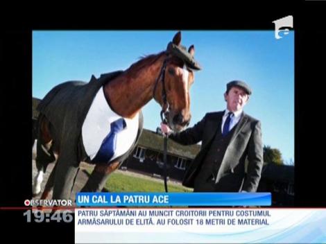 Un cal îmbrăcat în sacou şi pantalon, cămaşă albă şi cravată albastră!