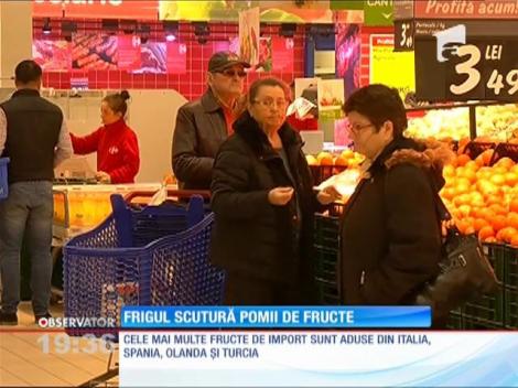 Pomii înfloriţi îngheaţă. Recolta va fi compromisă!