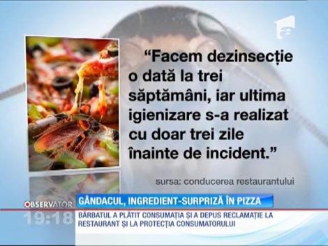 Gândac de bucătărie găsit într-o pizza!  S-a întâmplat într-un restaurant dintr-un mall din Bucureşti