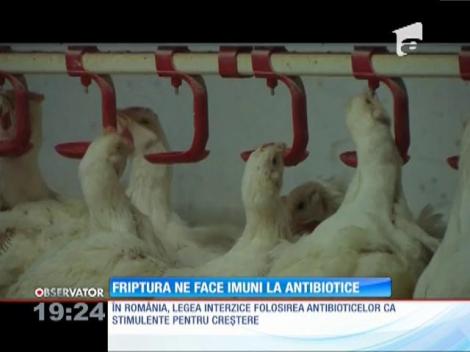 Carnea ne face imuni la antibiotice. Efectul este devastator!